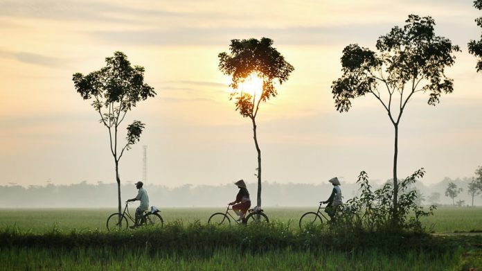 sumber gambar : unsplash.com